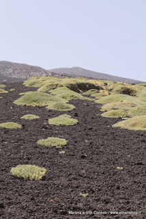 rra delle Concazze-05-08-2014 15-03-12